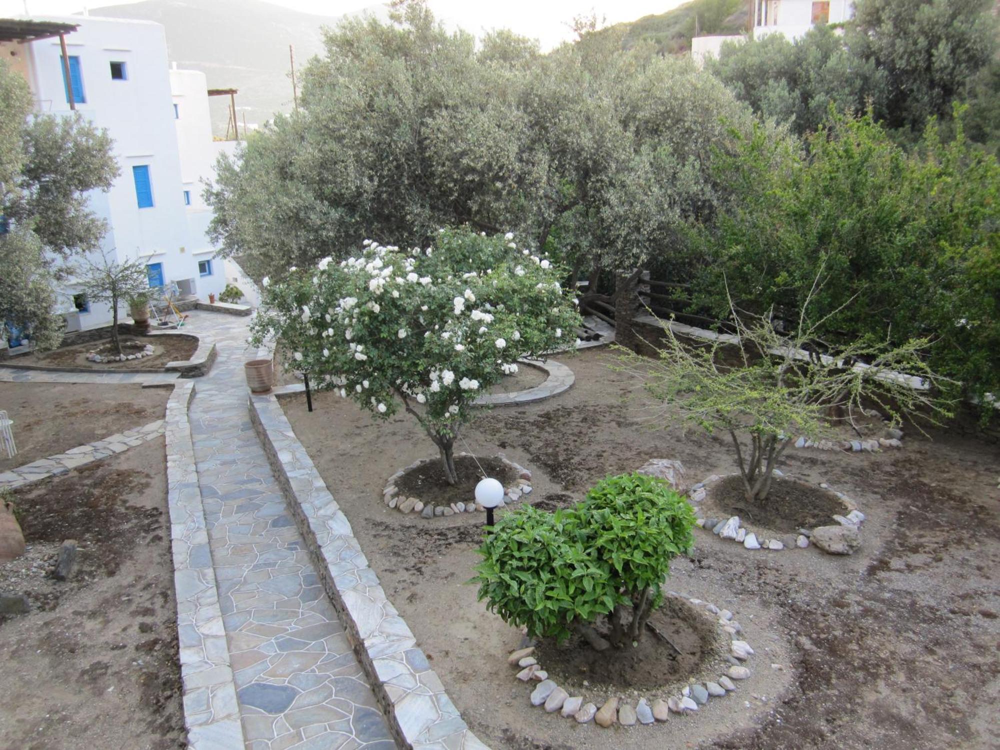 Alexandros Hotel Platis Gialos  Bagian luar foto