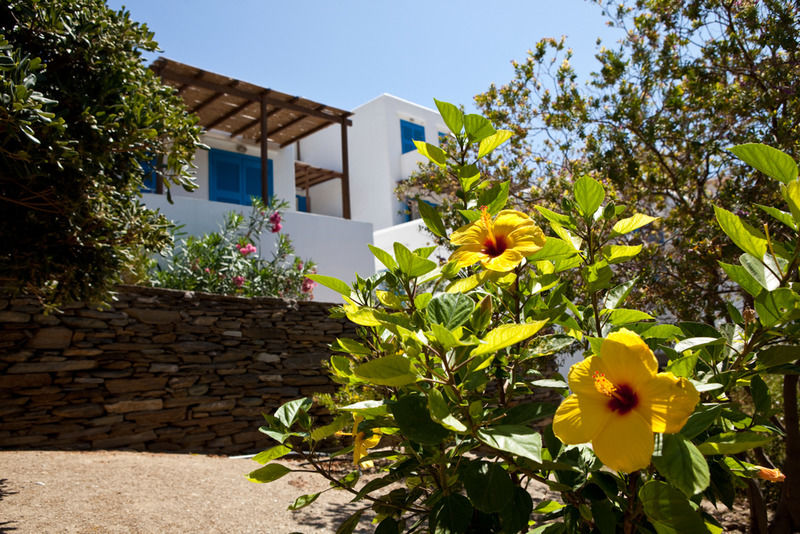 Alexandros Hotel Platis Gialos  Bagian luar foto